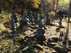 -茅兰沟国家森林公园