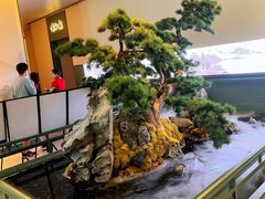 -潮上潮(南中环店)