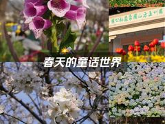 -苏州上方山国家森林公园