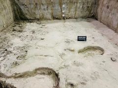 -金沙遗址博物馆