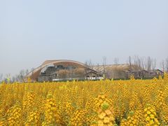 -中国天府农业博览园