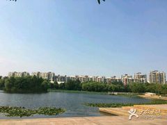 -新江湾城公园