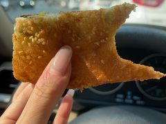 -潘记老面羌饼