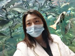 -哈尔滨波塞冬海底世界