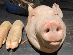 -和平菓局(王府井店)