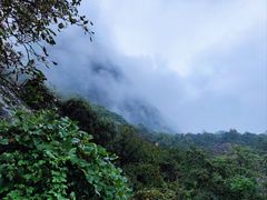 -秦岭终南山世界地质公园翠华山景区