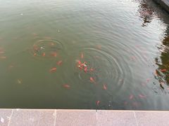 -廊坊文化艺术中心