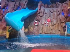 -烟台海昌鲸鲨海洋公园