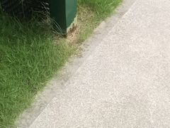 -杭州湾海上花田景区