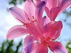 -梅州天地人花园酒店(梅县人民广场店)