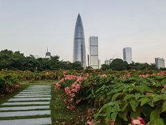 -深圳人才公园