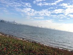 -深圳湾公园-停车场