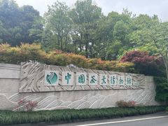 -中国茶叶博物馆(双峰馆区)