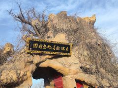 -大槐树寻根祭祖园