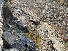 -MOJ coffee(瓯海泽雅水碓坑店)