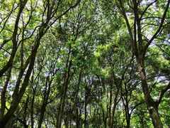 -苏州河梦清园环保主题公园