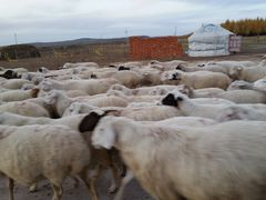 -塞罕坝国家级自然保护区