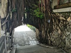 -乌山风景区