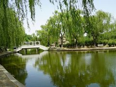 -石家庄市植物园