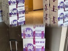 -骆驼日式搬家收纳整理