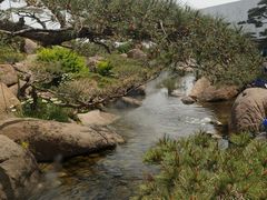 -罗红摄影艺术馆