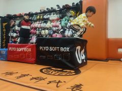 -体育科代表搏击散打体能训练馆(陶然亭店)