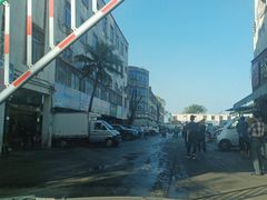 -鸿港海鲜批发市场