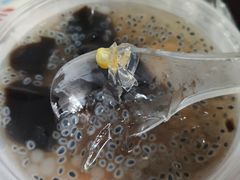-凉凉海石花
