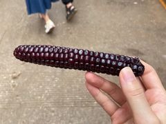 -大观篆新农贸市场