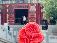 -香山公园