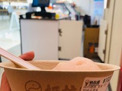 -极拉图·现制冰淇淋(梅溪湖新天地步步高店)