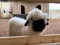 -HERRE·FARM 赫尔露营农场·团建聚会包场