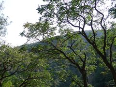 -北京鹫峰国家森林公园
