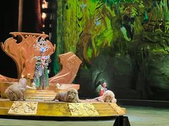 -广州长隆国际大马戏