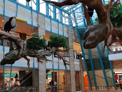 -大族广场Mall&More