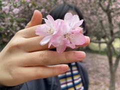 -白塘生态植物园