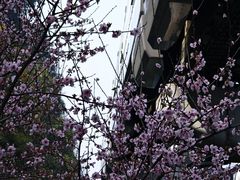 -山城巷传统风貌区