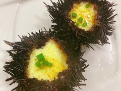 -枸杞岛