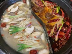 -乖嬢嬢重庆老火锅(南联店)