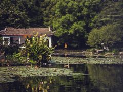 -杭州植物园