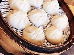 鲜肉小笼汤包-一品小笼(金融街店)