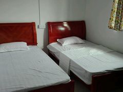 -南雄冯屋银杏山庄