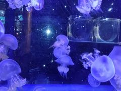 -海合安青岛极地海洋公园