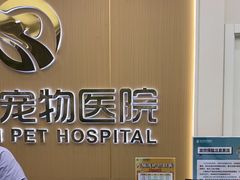 -瑞派康怡24h宠物医院·犬猫医疗中心·微创绝育(瑞景分院)