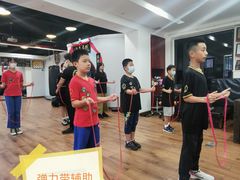 -温鉴良实用咏春拳