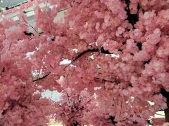 -昆山招商花园城