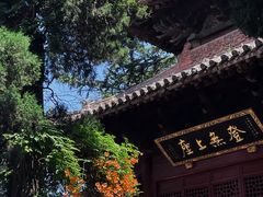 -洛阳白马寺