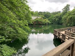 -井之头恩赐公园