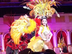 -金东尼人妖秀
