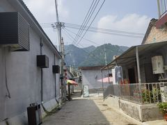 -康陵正德春饼宴26号